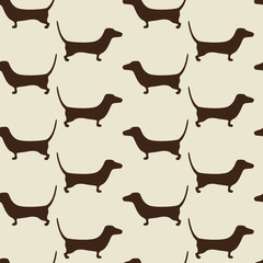 Dachshund background