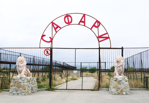 รูปภาพTaigan – เลือกดูภาพถ่ายสต็อก เวกเตอร์ และวิดีโอ611 | Adobe Stock