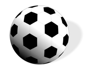 Fototapeta premium palla