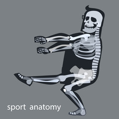 Fototapeta premium Skeleton anatomy sport male gymnastics