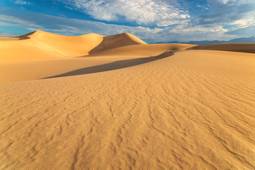 Fototapeta na wymiar Sunrise in Sand Dunes