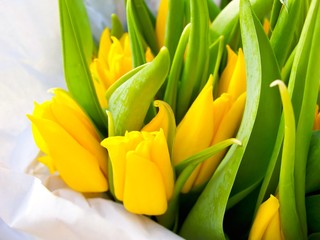 Wrapped bouquet of yellow tulips for sale.