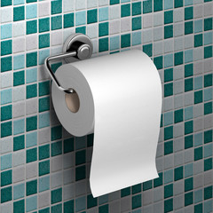 roll of white toilet paper