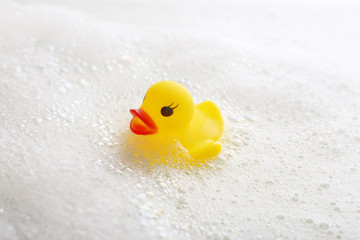 Rubber duck in foam close-up