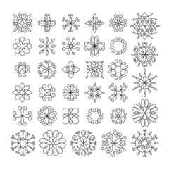 Set of linear flowers