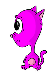 Pink cat