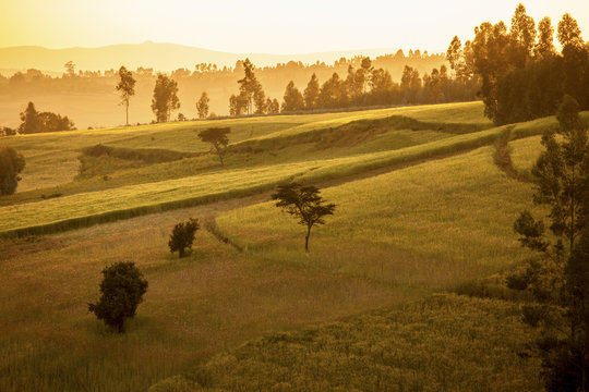 Ethiopian highlands at dawn