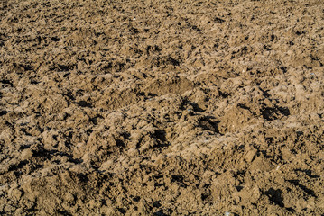 Ackerschollen / Erde / Grund