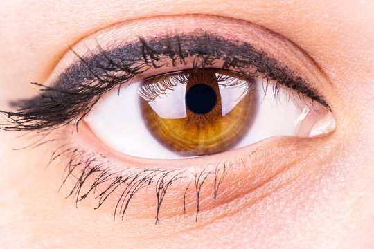 Female Eye