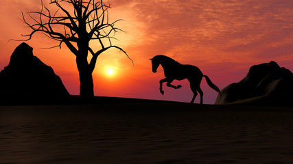 Horse Running under Sunset in the Desert