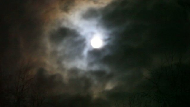 Full moon shining through the clouds and branches. Changes focus