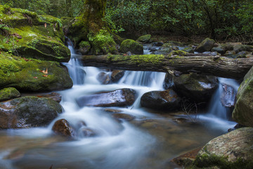 lush waterfall in South Carolina