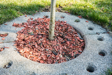 Bilder und Videos suchen: rasengitter