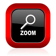 zoom icon