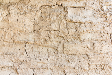 Dry cracked dirt