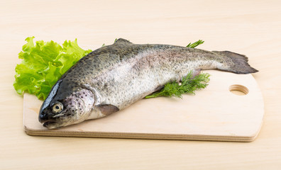Raw fresh trout