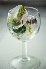 A glass with frosted leaves