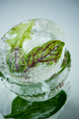 pieces of ice with green leaves