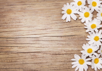 Chamomile flowers