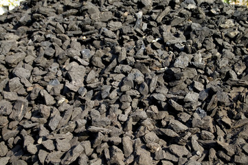 Coal wood