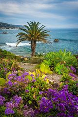 Garden and view of the Pacific Ocean at Heisler Park, in Laguna
