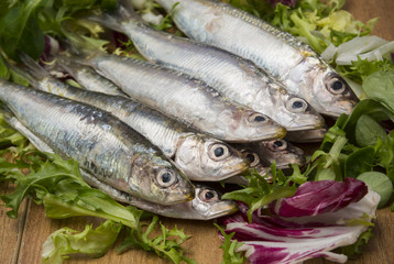 Detalle de sardinas