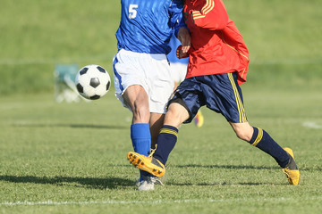 Fototapeta premium Piłka nożna