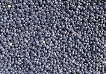 식재료 배경이미지