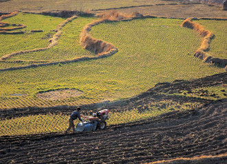 Obraz premium 가을의 전원