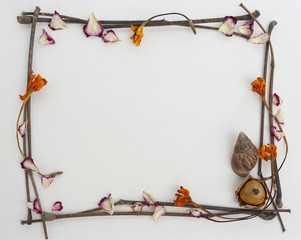 Natural frame concept dry flower