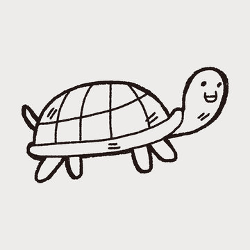 Doodle Tortoise