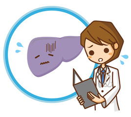 肝臓　イラスト