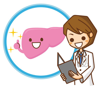 元気な肝臓 の画像 765 件の Stock 写真 ベクターおよびビデオ Adobe Stock