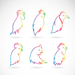 Vector image of an chicken head on white background