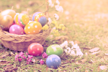 Fototapeta na wymiar Colorful easter eggs decorate with flower on grass in vintage st