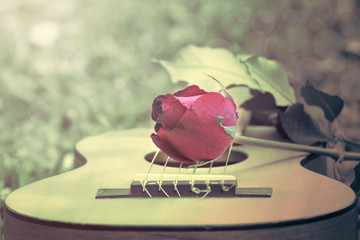 romantic rose on guitar in vintage style