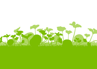 Pumpkin plants field vector background ecology green concept