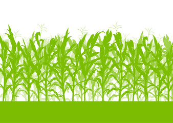 Corn field vector background ecology green concept - obrazy, fototapety, plakaty