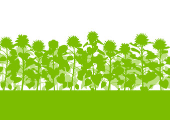 Sunflowers field vector background ecology green concept