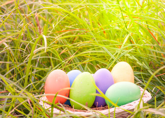 Colorful of easter eggs in grasses field