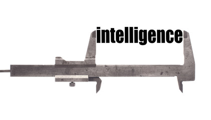 Intelligence