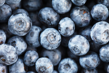 fresh blueberry