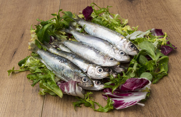 Sardinillas
