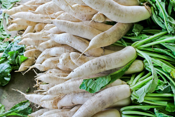 Daikon radish for sale in market.