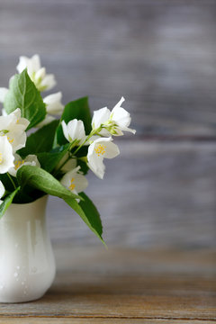 Jasmine in a white vase