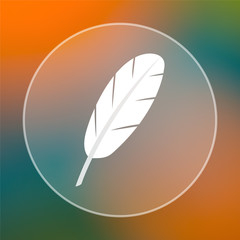 Feather icon