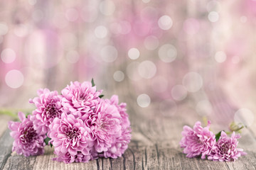 Blumen Chrysanthemen Frühling pink Valentinstag Muttertag Hintergrund Karte