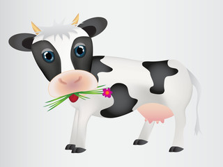 Black cute cow with green grass and flower