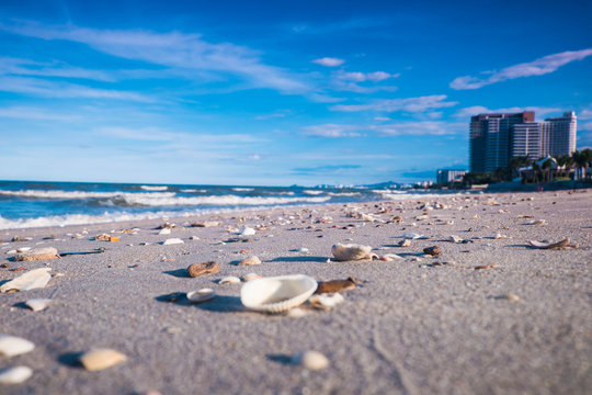 รูปภาพBroward – เลือกดูภาพถ่ายสต็อก เวกเตอร์ และวิดีโอ2,144 | Adobe Stock