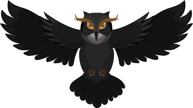 Dark owl